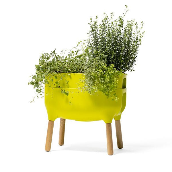 Odlingslåda 'Urbalive Low Planter' Green