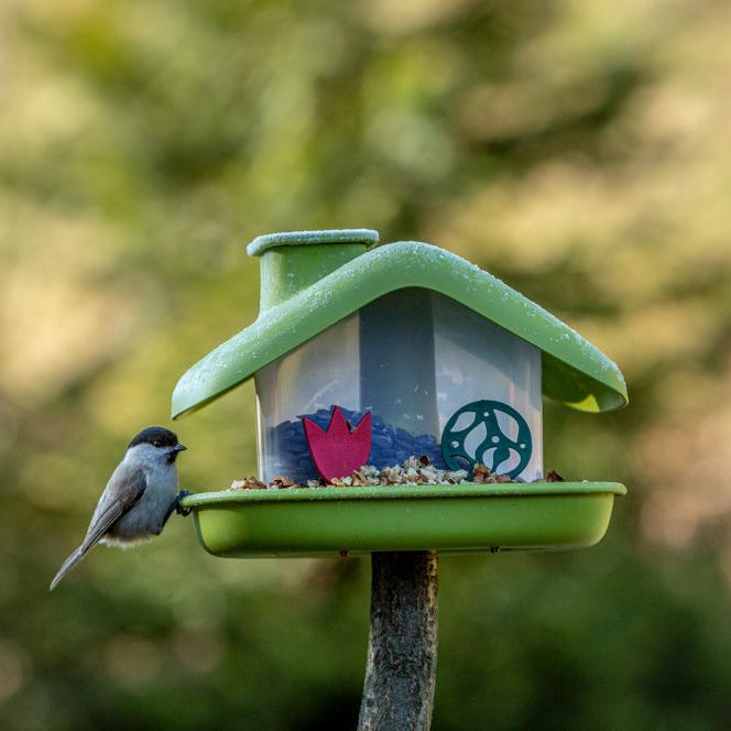 Foderautomat 'Domek' Green