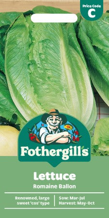 Romansallat 'Romaine Ballon'