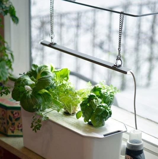 Hydroponisk odling 'Harvy- 3' Presentfrp. - Vit