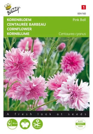 Blåklint 'Pink Ball'