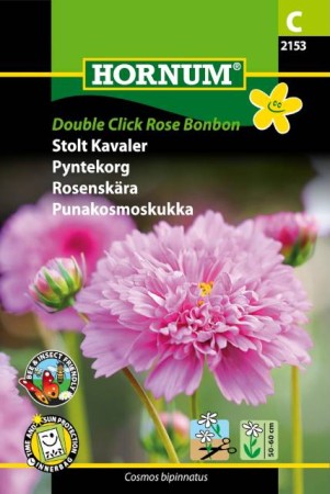Rosenskära 'Double Click Rose Bonbon'