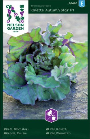 Blomsterkål 'Autumn Star'