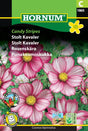 Rosenskära 'Candy Stripes' frö