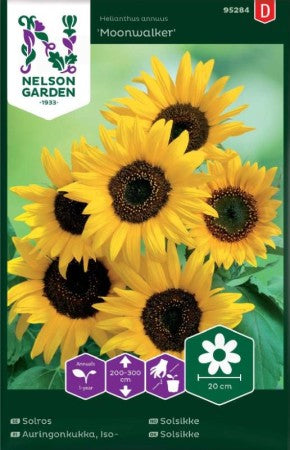 Solros (Hög) 'Moonwalker' frö