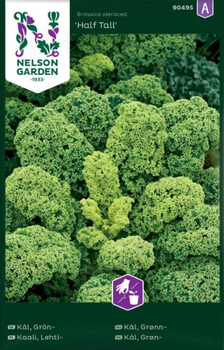 Grönkål 'Half Tall'