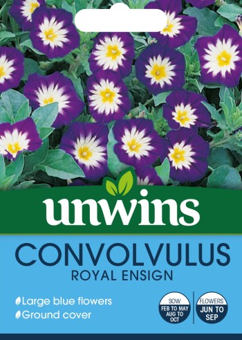 Blåvinda 'Royal Ensign'