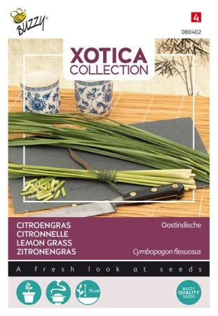 Citrongräs 'Xotica'