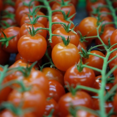 Cockailtomat 'Annadark' F1 Frö