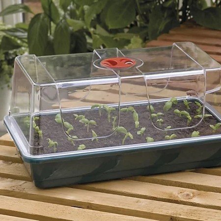 Miniväxthus 'High Dome' med hål
