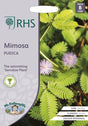 Sensitiva 'Mimosa Pudica'
