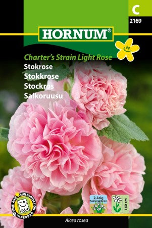 Stockros 'Chater's Strain Light Rose'