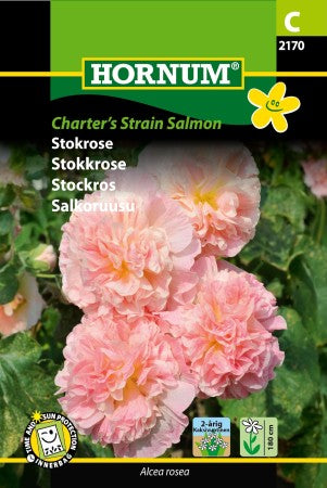 Stockros 'Chater's Strain Salmon'