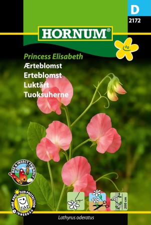 Luktärt 'Princess Elisabeth'