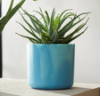 The Ocean Collection Round 18cm Atlantic Blue