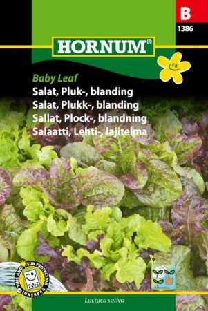 Plocksallat Mix 'Baby Leaf' frö