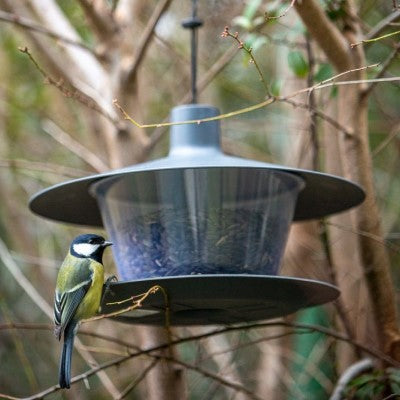 Foderautomat 'Finch' Anthracite