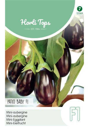 Aubergine Mini 'Patio Baby' F1