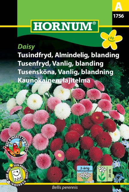 Tusensköna Mix 'Daisy' frö