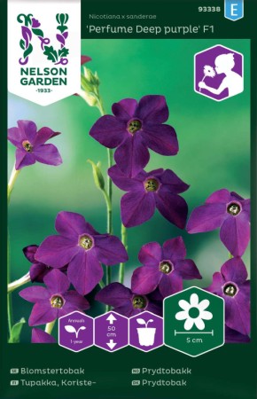 Blomstertobak 'Perfume Deep Purple' F1 frö