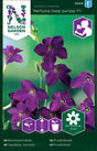 Blomstertobak 'Perfume Deep Purple' F1 frö