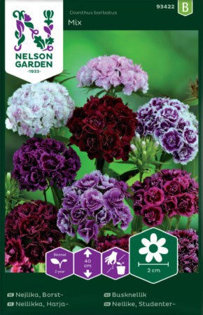 Borstnejlika (Dubbel) Mix frö