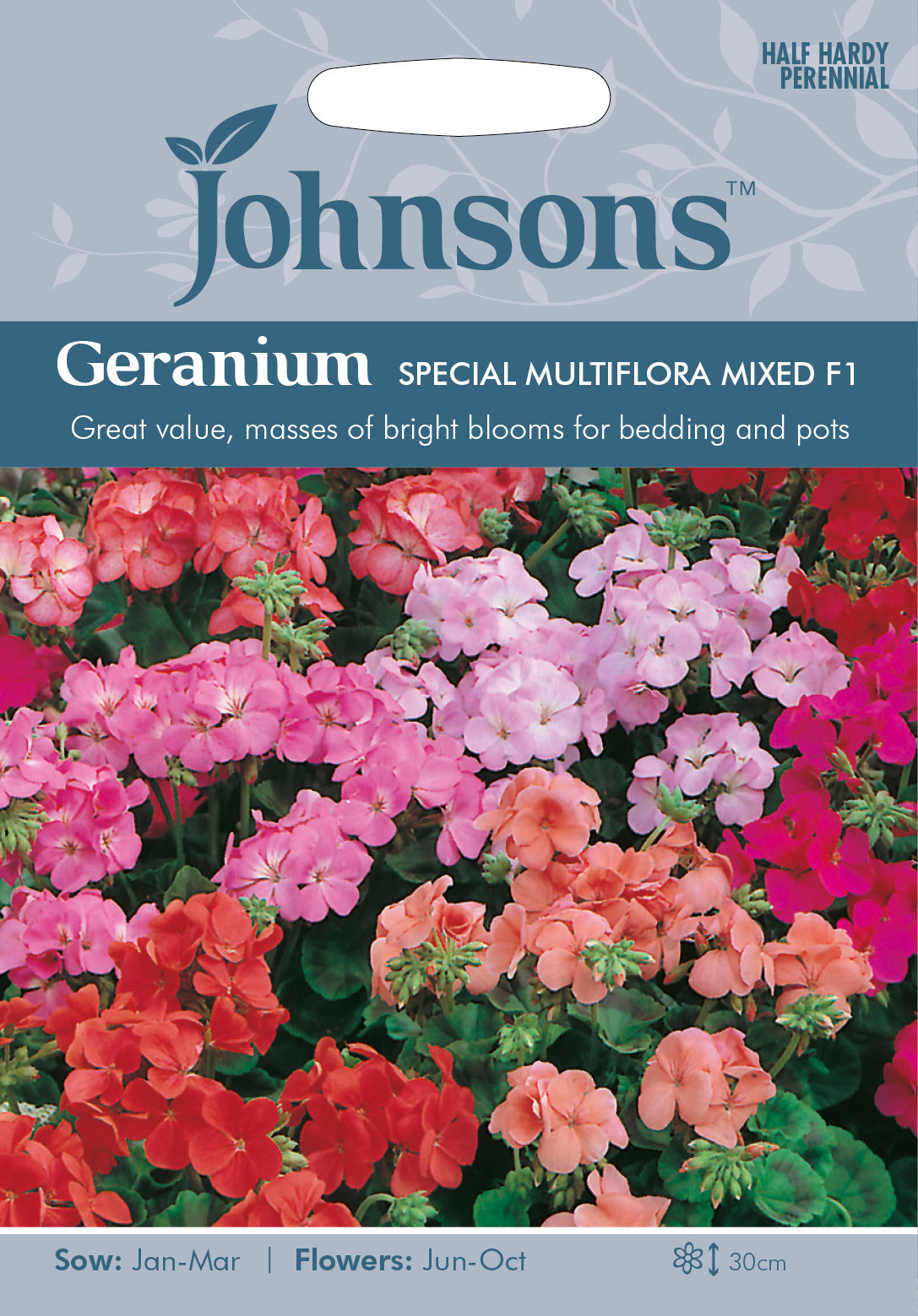 Pelargon 'Special Multiflora Mix F1'