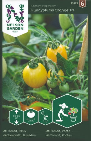 Kruktomat 'Funnyplums Orange' F1