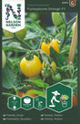 Kruktomat 'Funnyplums Orange' F1