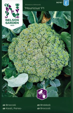 Broccoli 'Mauricius' F1