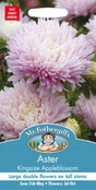 Aster 'Kingsize Appleblossom'