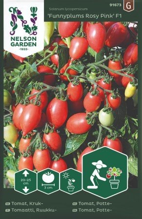 Kruktomat 'Funnyplums Rosy Pink' F1