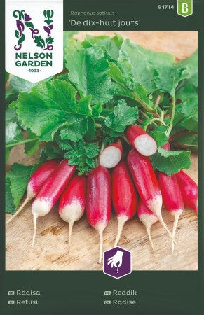 Rädisa 'De dix-huit Jours'