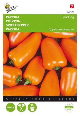 Paprika Mini 'Snacking Orange'