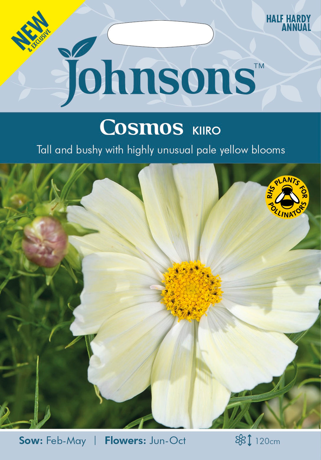 Rosenskära 'Kiiro'