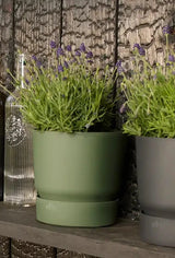 Greenville 'Round' D18cm - Leaf Green