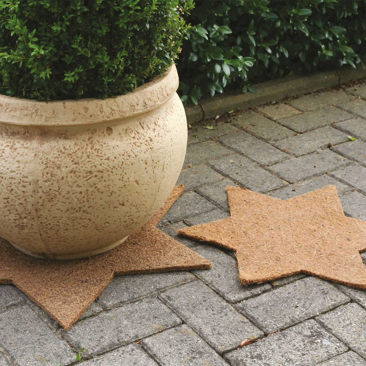 Vinterskydd 'CocoPro Star' Beige D70cm