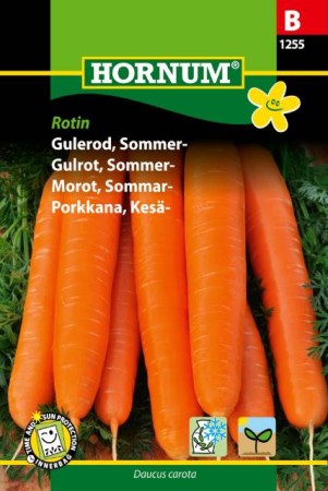 Sommarmorot 'Rotin' frö