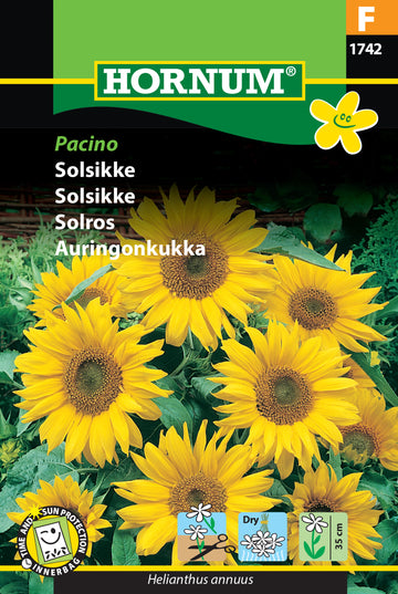 Solros 'Pacino' frö