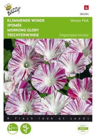 Blomman för Dagen 'Venice Pink'