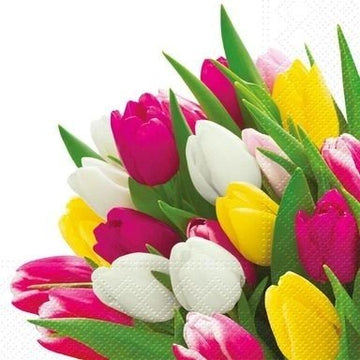Servett 'Tulpaner'