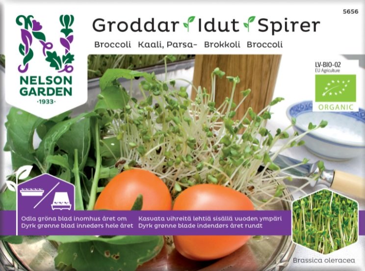 Groddar Broccoli EKO