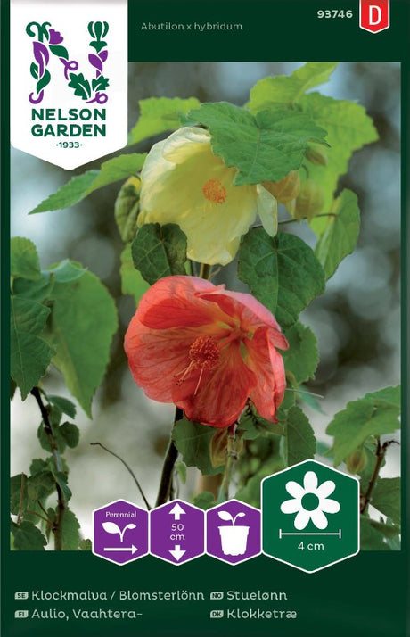 Klockmalva / Blomsterlönn frö