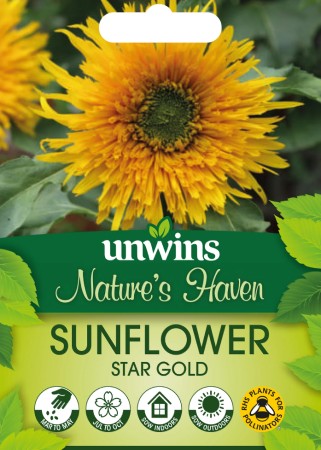 Solros 'Star Gold'