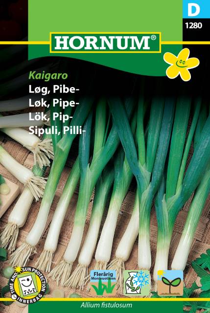 Piplök 'Kaigaro' frö