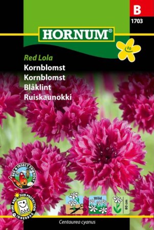 Blåklint 'Red Lola' frö