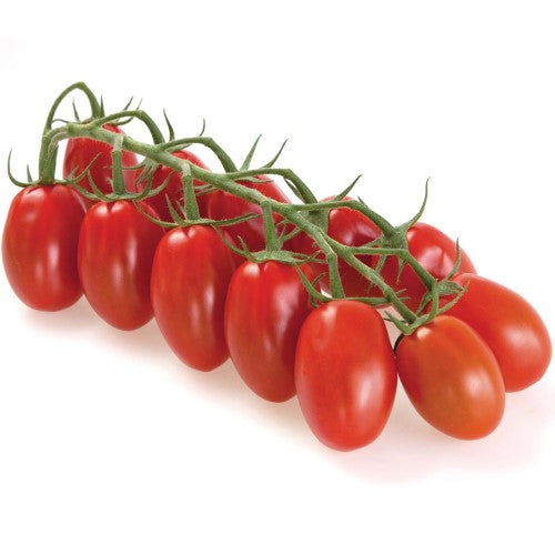 Plommontomat 'Vespolino' F1 Frö