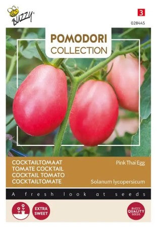 Tomat 'Pink Thai Egg'