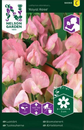 Luktärt 'Royal Rose' frö