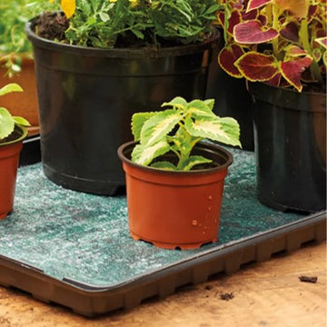 Bevattningsmatta 32x18cm - 5st